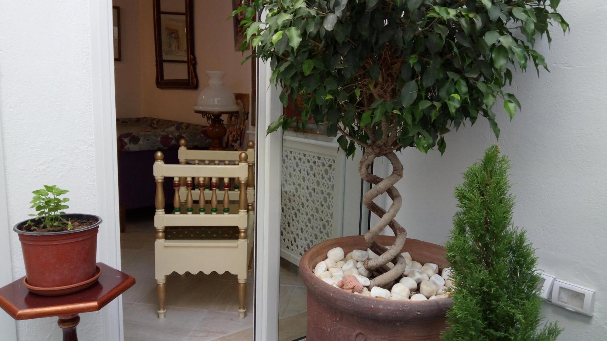 El Patio Courtyard House Tunis